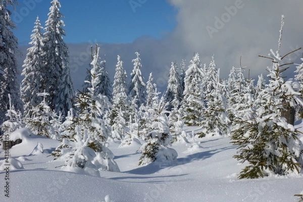 Obraz Winter in der Steiermark