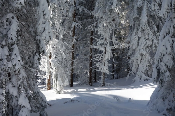 Fototapeta Winter in der Steiermark 2