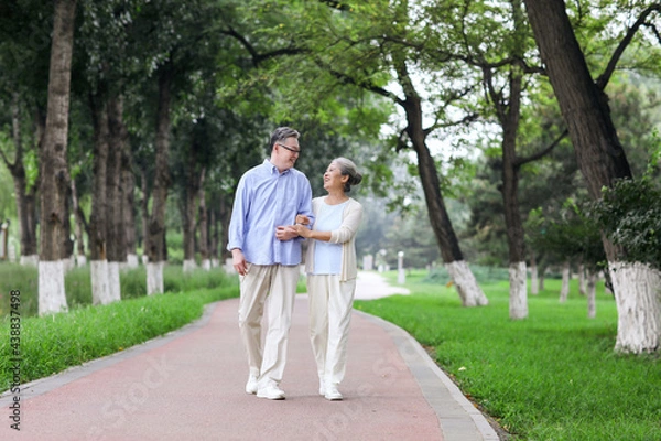 Obraz Happy old couple walking in the park