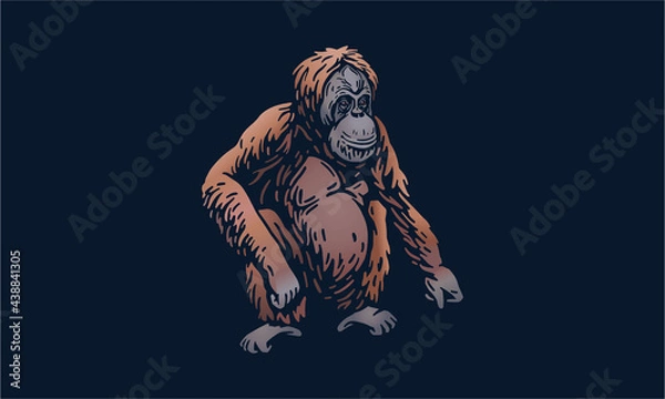 Obraz Sumatran orangutan on dark background