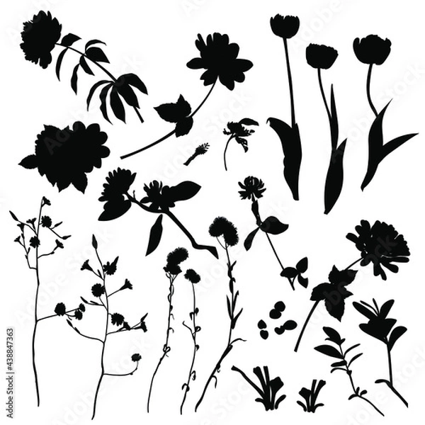 Fototapeta A set of silhouettes of different wildflowers. Spring and summer flowers.