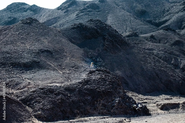 Obraz snow covered mountains