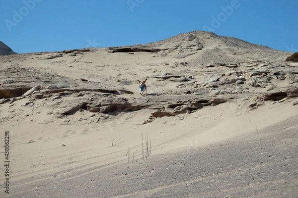 Obraz sand dunes in park