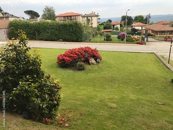 Obraz garden with flowers