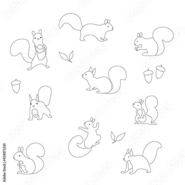 Fototapeta Set of vector black and white squirrels for coloring. Textile, wallpaper, child's play