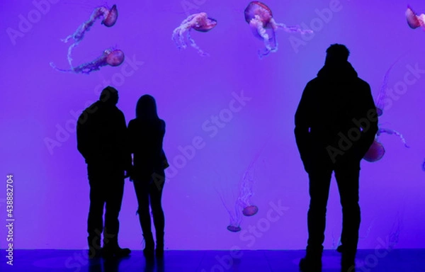 Fototapeta silhouette of persons in front of jellyfish