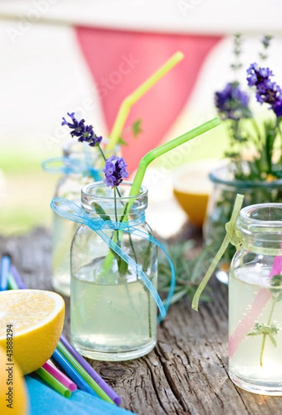 Fototapeta gartenparty - lemonade stand