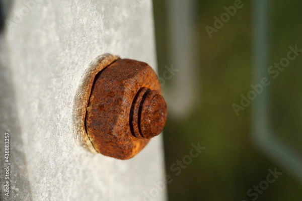 Obraz Rusty screw