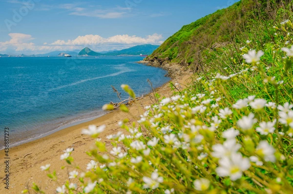 Obraz Coastal landscape, summer sea and salt waves