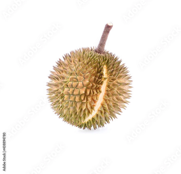 Fototapeta Durian on white background.Durian is the king of fruit, durian fruit is large.