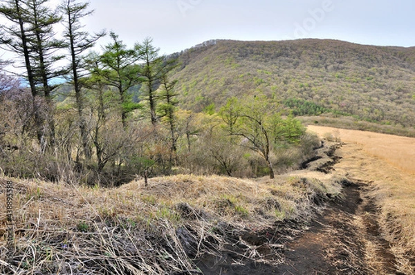 Obraz 丹沢　鉄砲木ノ頭（明神山）より甲相国境尾根の道と新緑の三国山