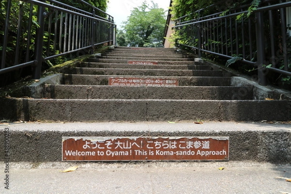 Fototapeta 神奈川県の丹沢の大山の登山