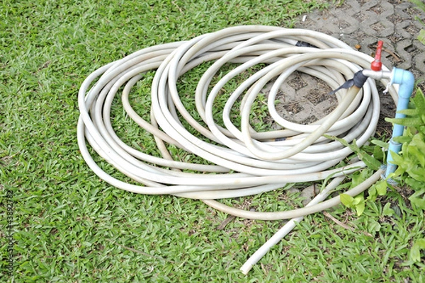 Obraz hose pipe on a green grass