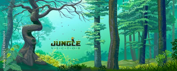 Fototapeta Jungle with lush green grass, large trees, thick bushes, and the mysterious mist in the background.