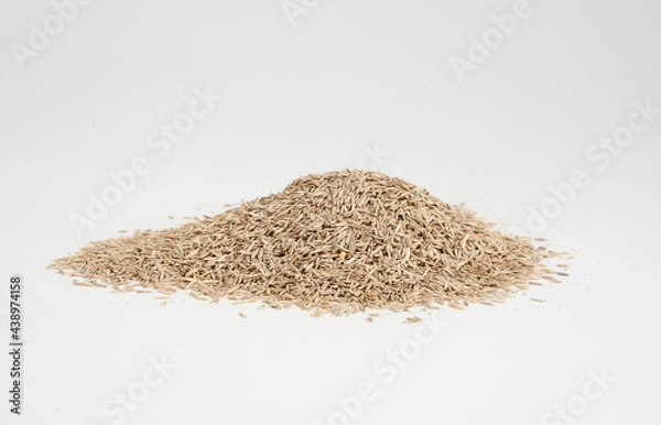 Obraz Grass Seed