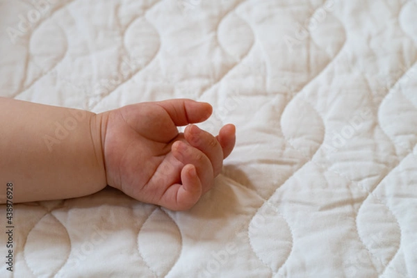 Fototapeta 赤ちゃんの手

