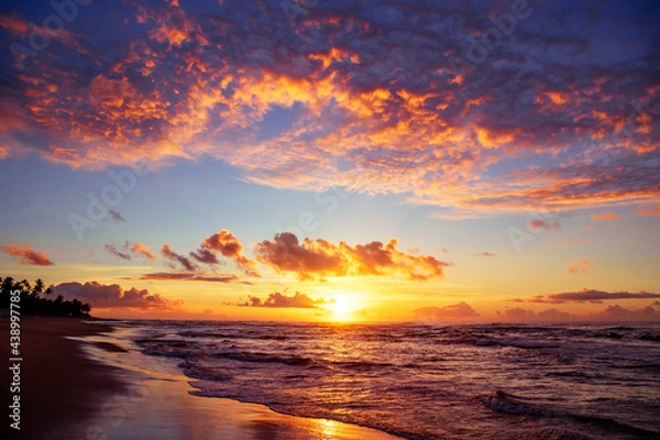 Obraz magical sunset on the beach of brazil knowing new places