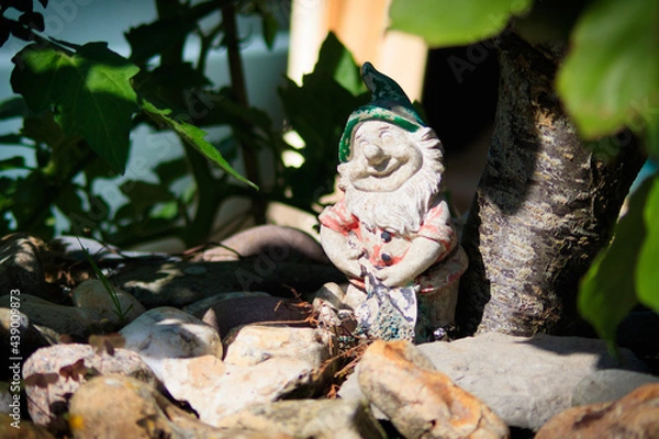 Obraz Gnome enjoying the sun