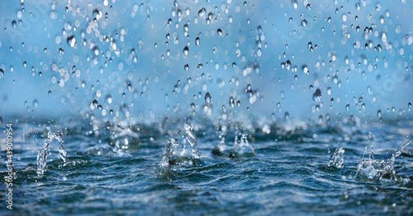 Fototapeta rain - in the macro detail