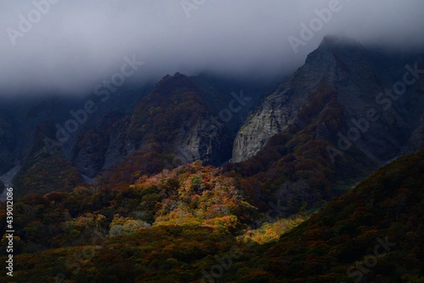 Fototapeta 秋の大山