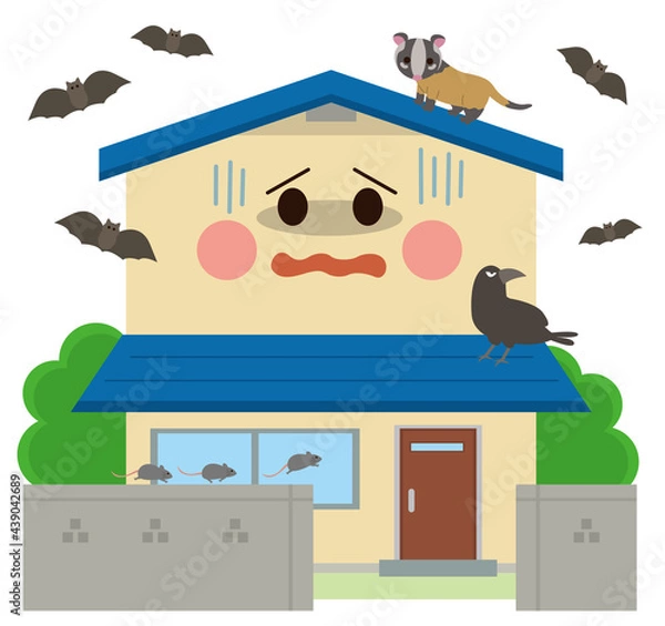 Obraz 住宅　害獣