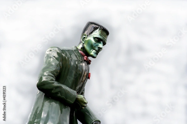 Obraz monster on the roof