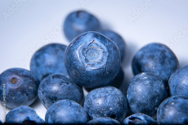 Fototapeta Borówka merykańska w powiększeniu makro