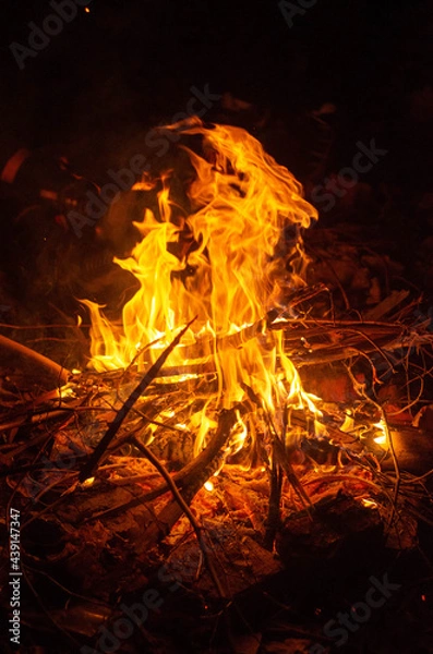 Obraz campfire in the forest