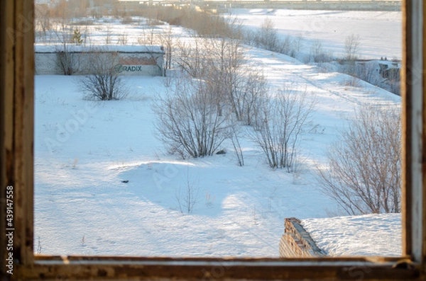Obraz landscape in the forest