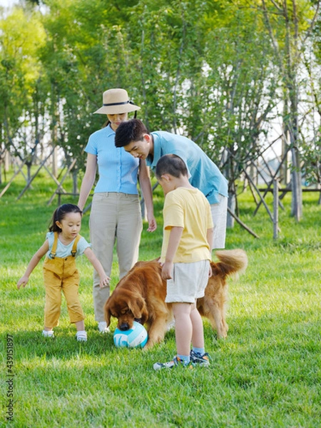 Obraz Happy family of four and pet dog playing in the park
