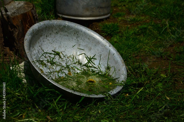 Obraz water drops on the grass
