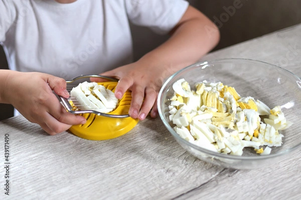 Fototapeta lifestyle preschooler child girl cook food in the kitchen. development of fine motor skills in everyday life from scrap materials. the child cuts the eggs with a yellow egg cutter.