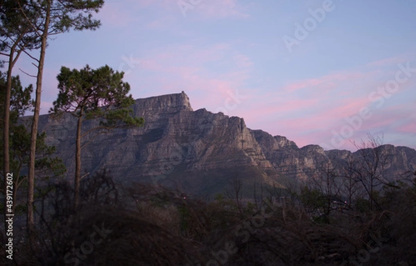 Obraz Table Mountain In All Her Glory