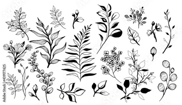 Fototapeta Set of modern abstract plants. Unusual collection of floral nature. Hand drawing shapes and textures. Vector graphics 