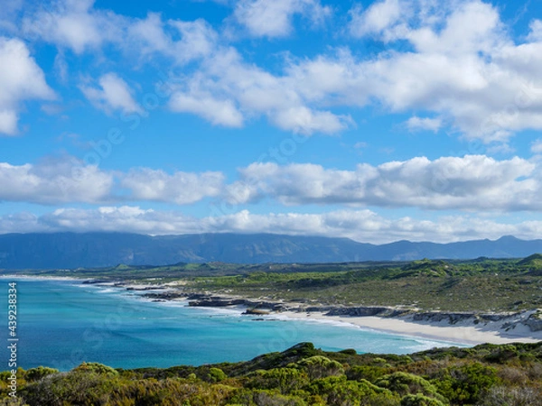 Fototapeta Wonderful elevated views of the Walker Bay Nature Reserve coastline with the Kleinrivier mountains in the far distance. De Kelders near Gansbaai. Overberg. Western Cape. South Africa.