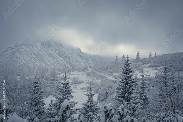 Obraz Dramatic sky over the peaks of High Tatras, Poland. Dark December in the national park. Snow covering the valley. Selective focus on the trees, blurred background.