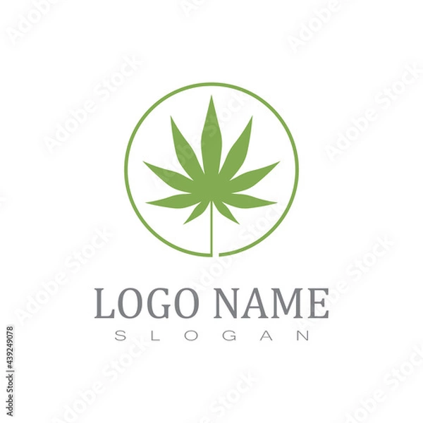 Obraz Cannabis Marijuana Hemp Pot Leaf Silhouettes Logo Vector