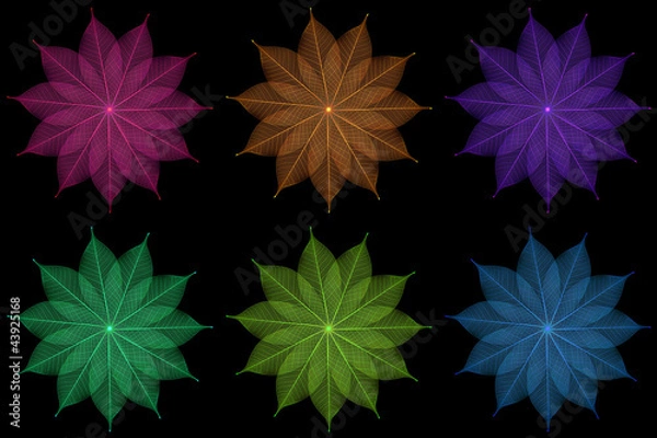 Obraz Skeleton leaf abstract background