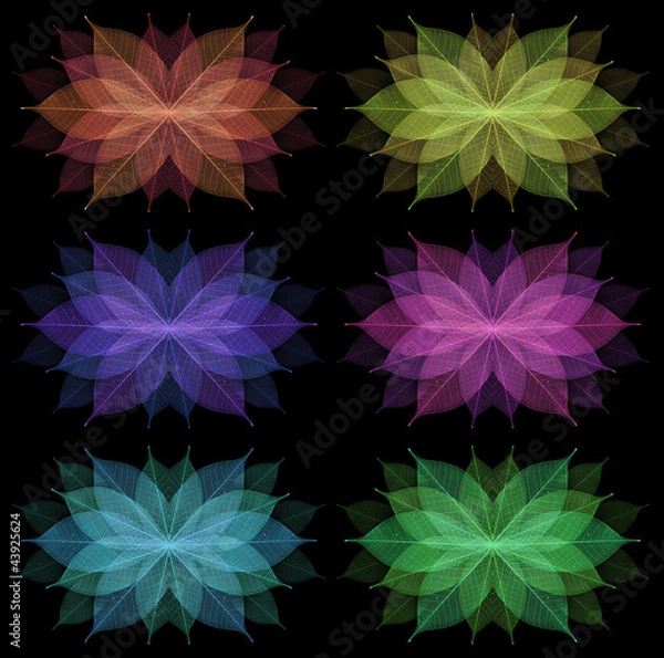 Obraz Skeleton leaf abstract background