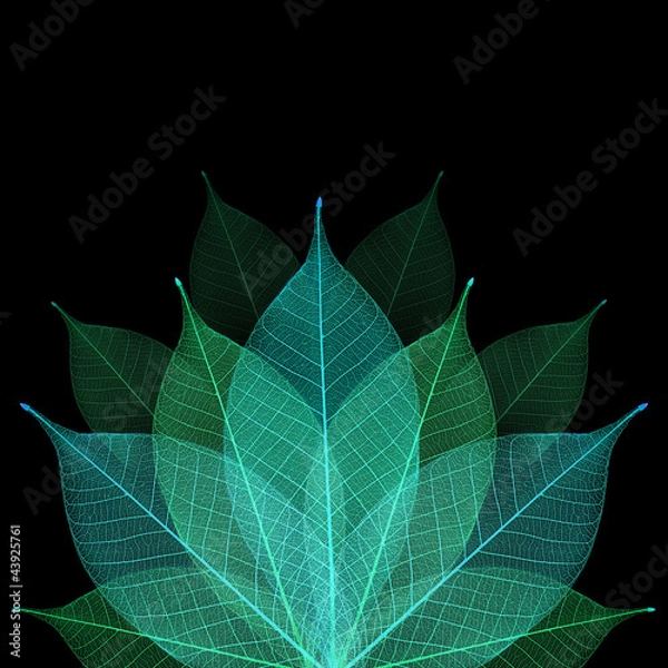 Obraz Skeleton leaf abstract background