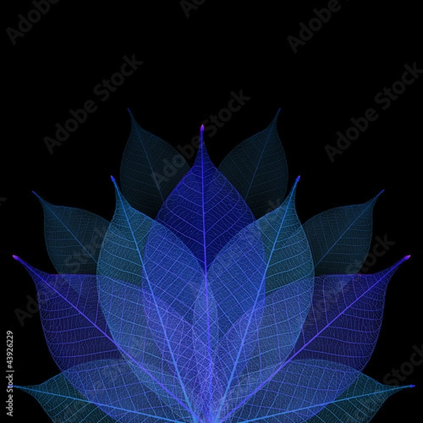Obraz Skeleton leaf abstract background