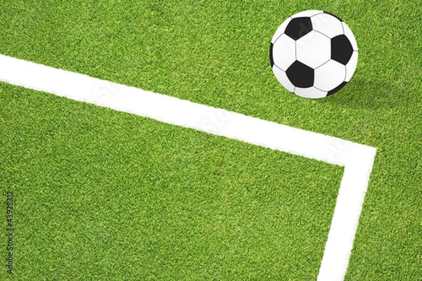 Fototapeta Football soccer on grass background