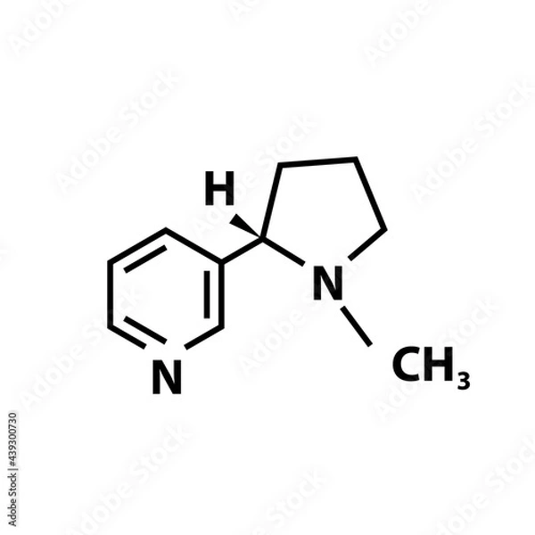 Obraz Nicotine chemical structure