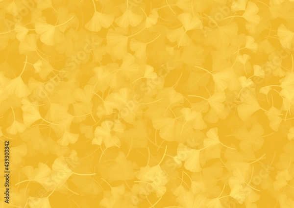 Obraz イチョウの葉っぱ横長背景素材