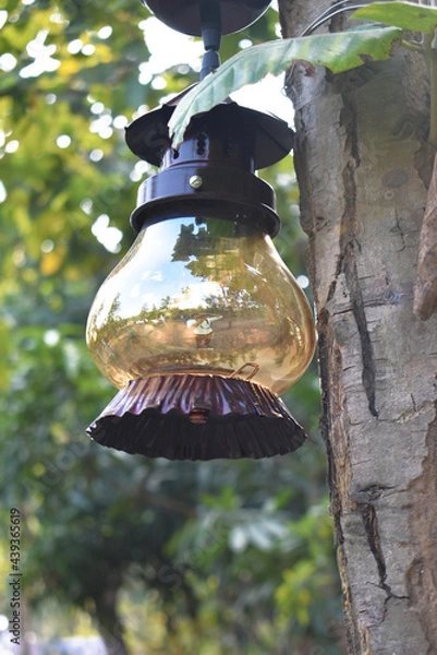 Obraz A old decorative lantern hung in a tree