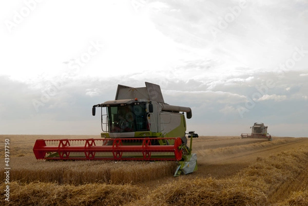 Fototapeta Harvester