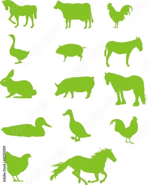 Fototapeta pictogrammes animal de ferme