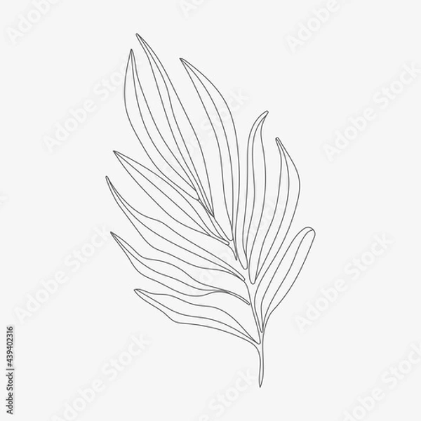 Obraz Tropic leaf monoline vector illustration.  