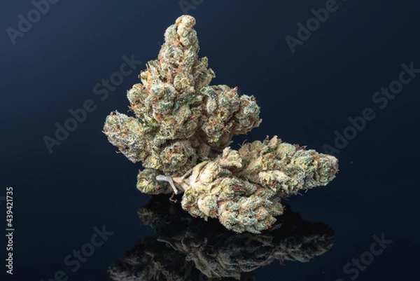 Obraz Cannabis Flower Macro - Strain: Skelly X #2