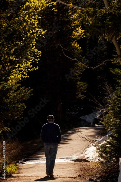 Obraz Mountain hiker